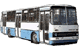 Автобусы